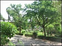 Sant'Apollonia